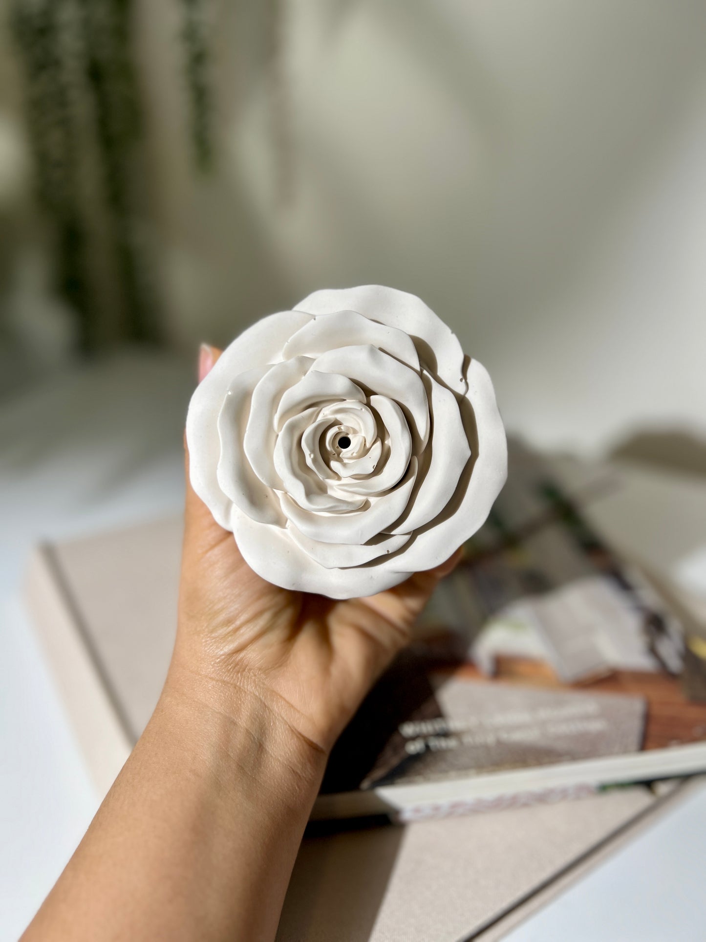 Hand holding a white flower against a blurred indoor background